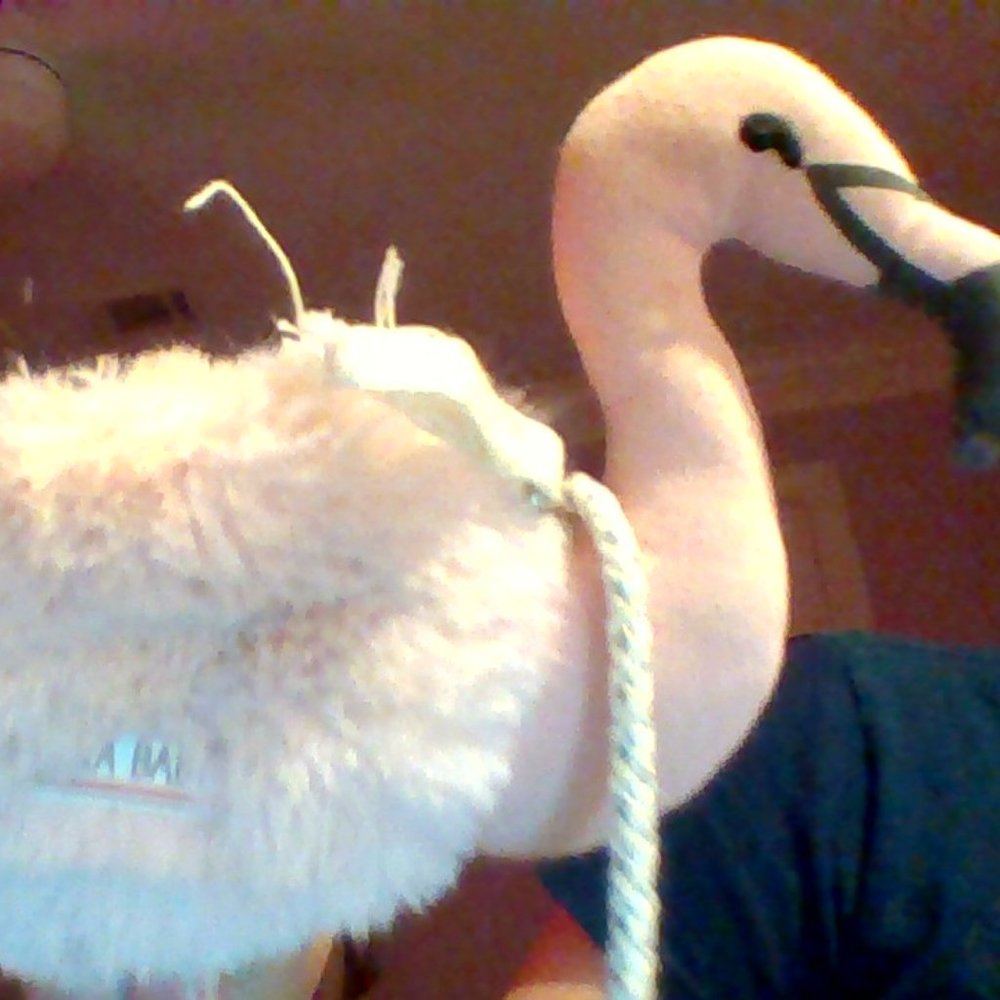 Zara Baby Toddler/Kids Fluffy Flamingo Purse